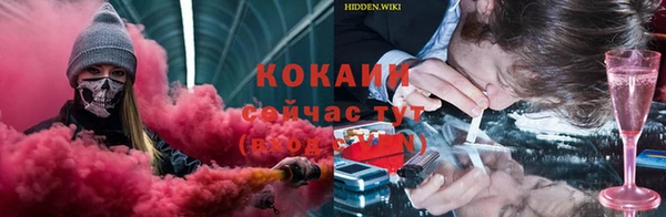 соль ск Алексеевка