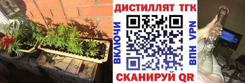 Дистиллят ТГК THC oil  купить наркотики сайты  Мензелинск 